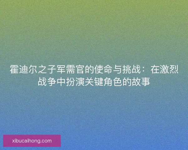 霍迪尔之子军需官的使命与挑战：在激烈战争中扮演关键角色的故事