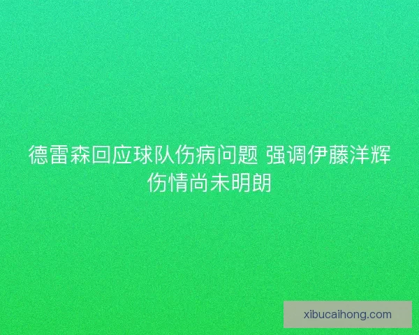 德雷森回应球队伤病问题 强调伊藤洋辉伤情尚未明朗