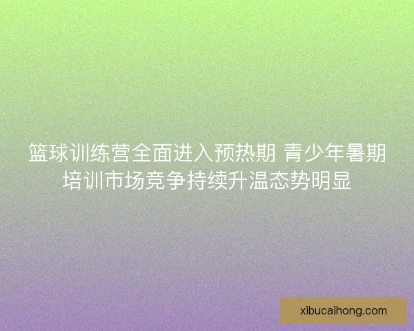 篮球训练营全面进入预热期 青少年暑期培训市场竞争持续升温态势明显