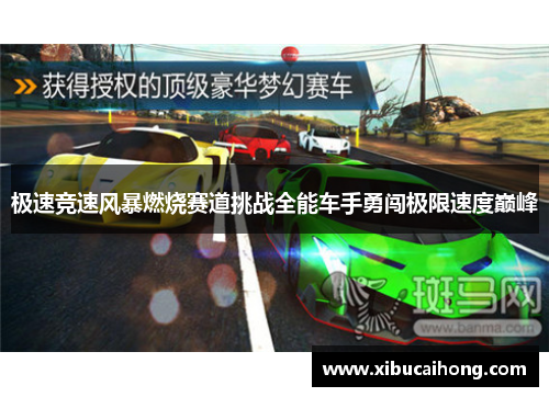 极速竞速风暴燃烧赛道挑战全能车手勇闯极限速度巅峰