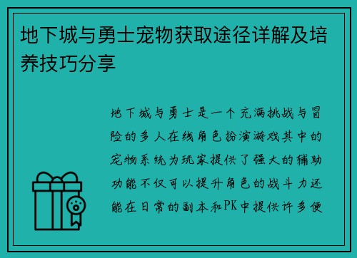 地下城与勇士宠物获取途径详解及培养技巧分享
